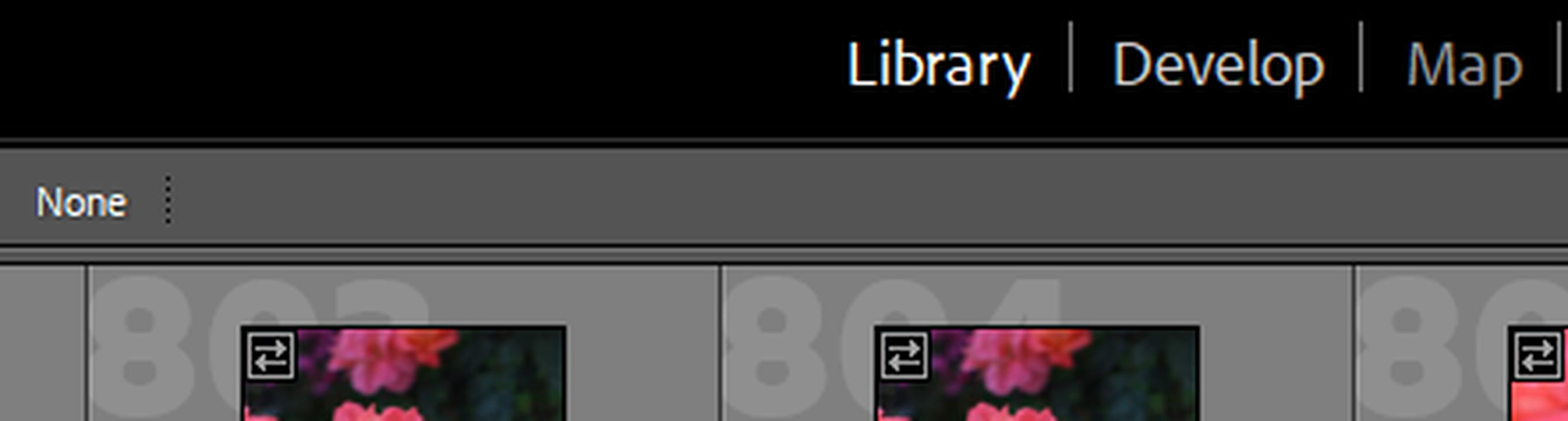 Develop module in lightroom